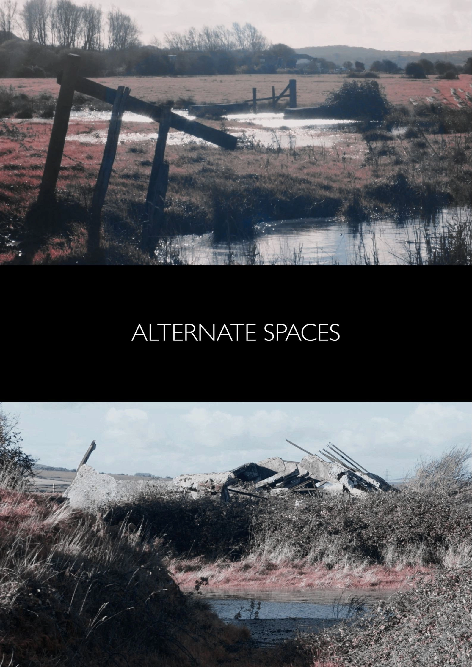 Alternate Spaces