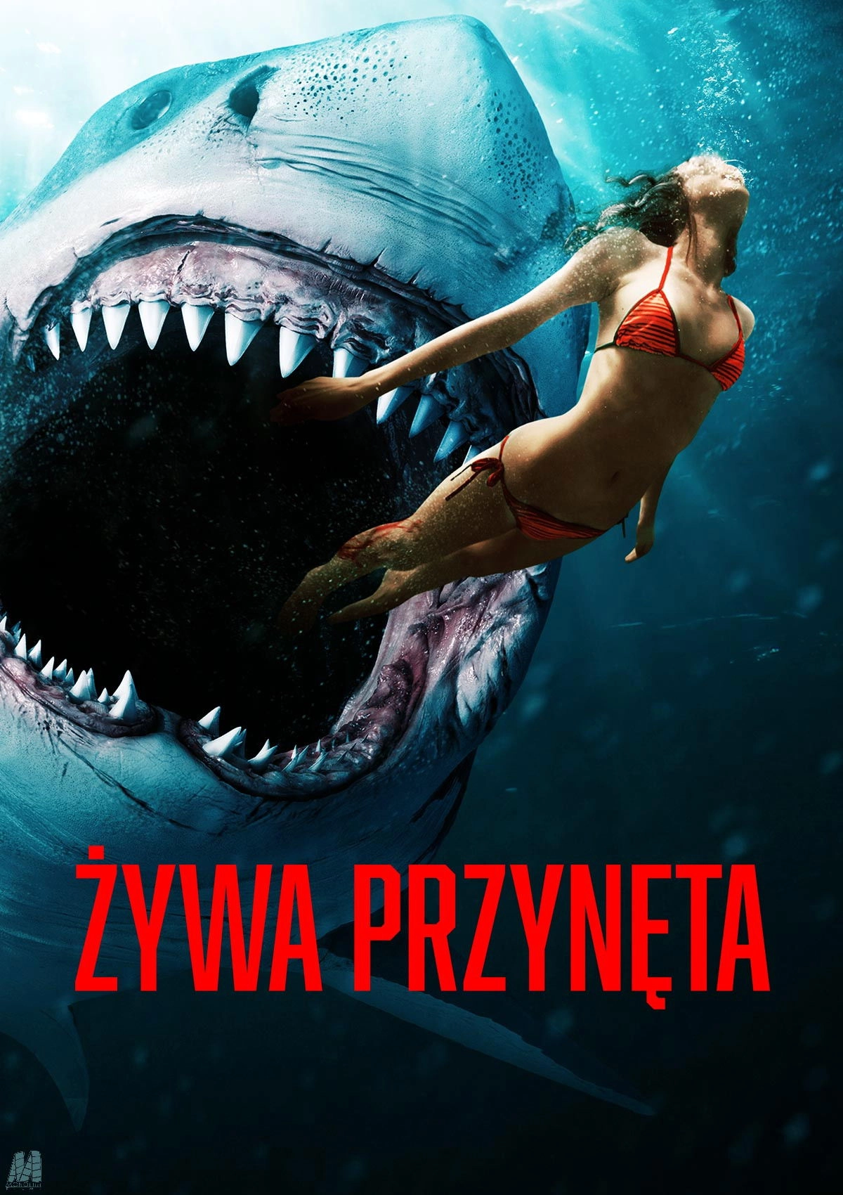 Shark Bait