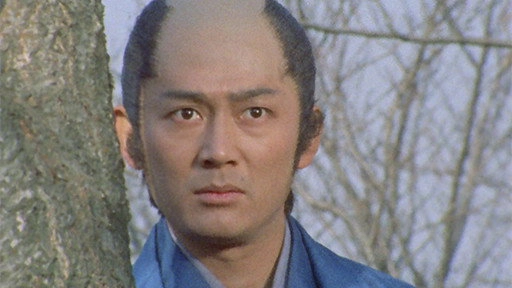 Lone Wolf and Cub