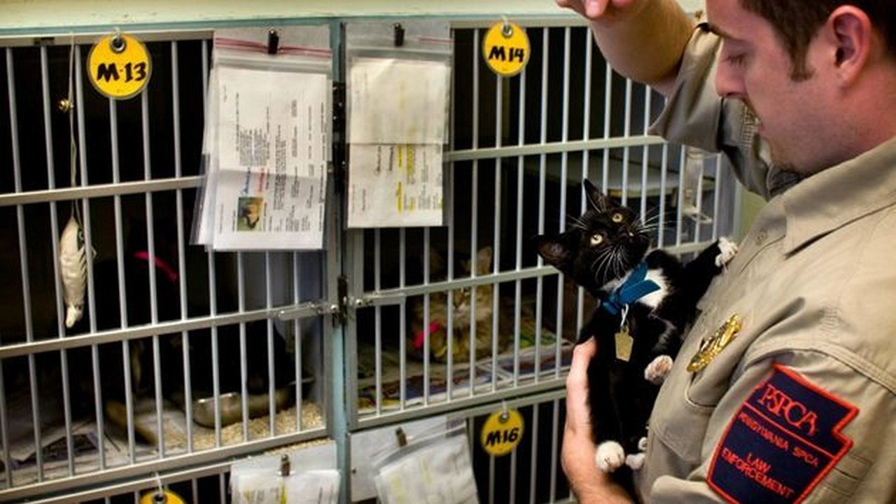 Animal Cops: Philadelphia