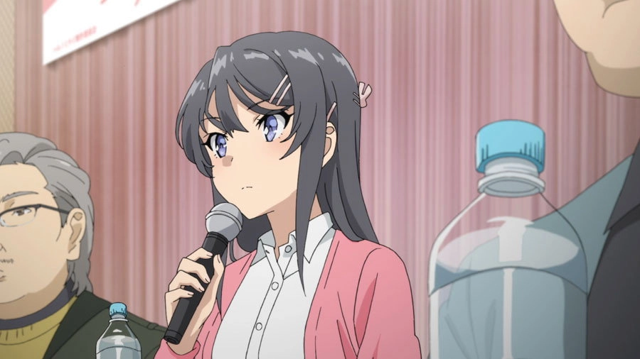 Rascal Does Not Dream of Bunny Girl Senpai