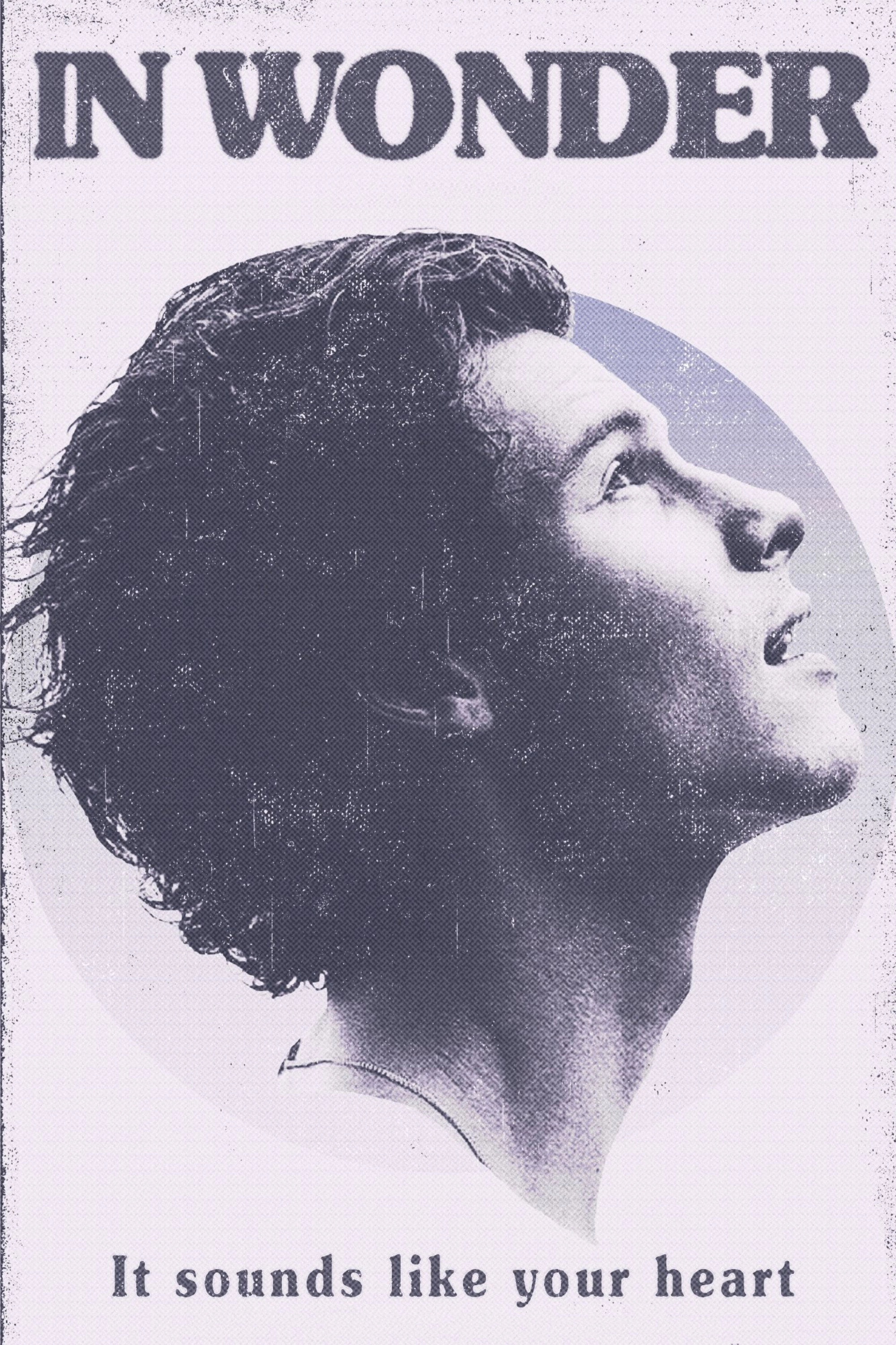 Shawn Mendes: In Wonder