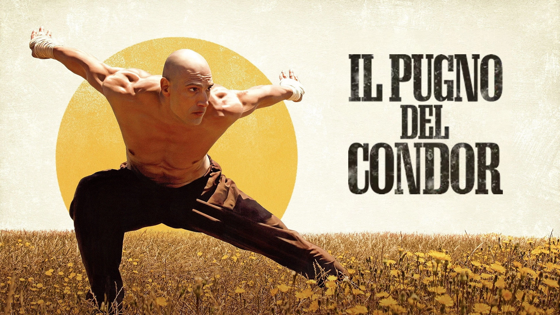Fist of the Condor