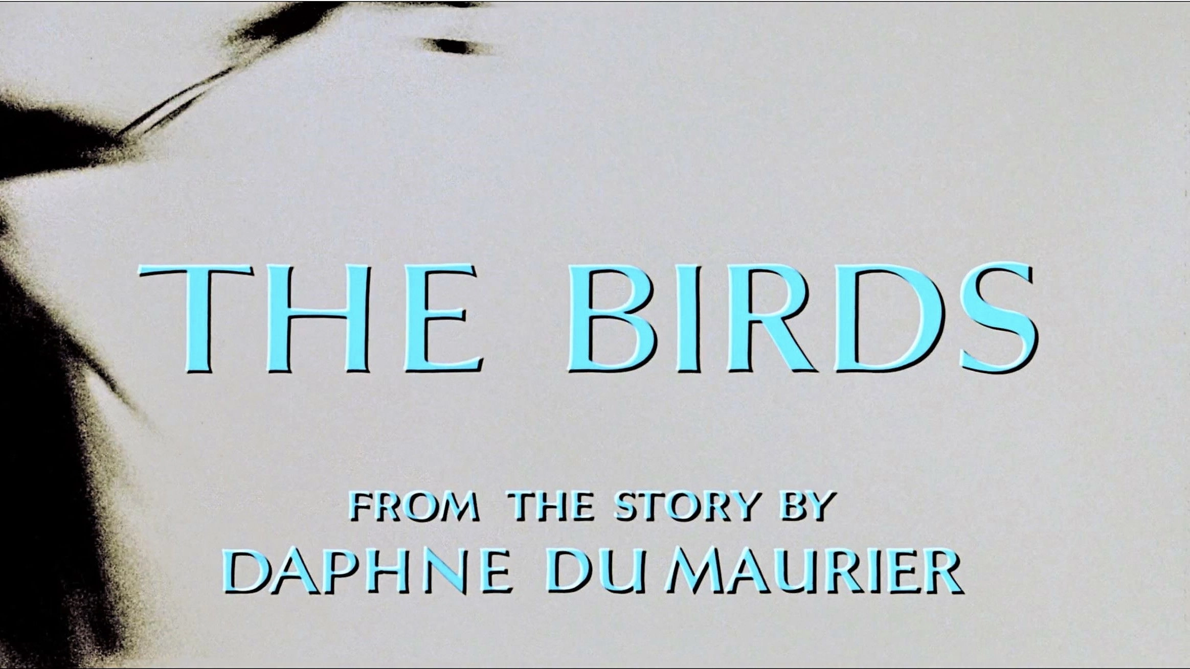 The Birds