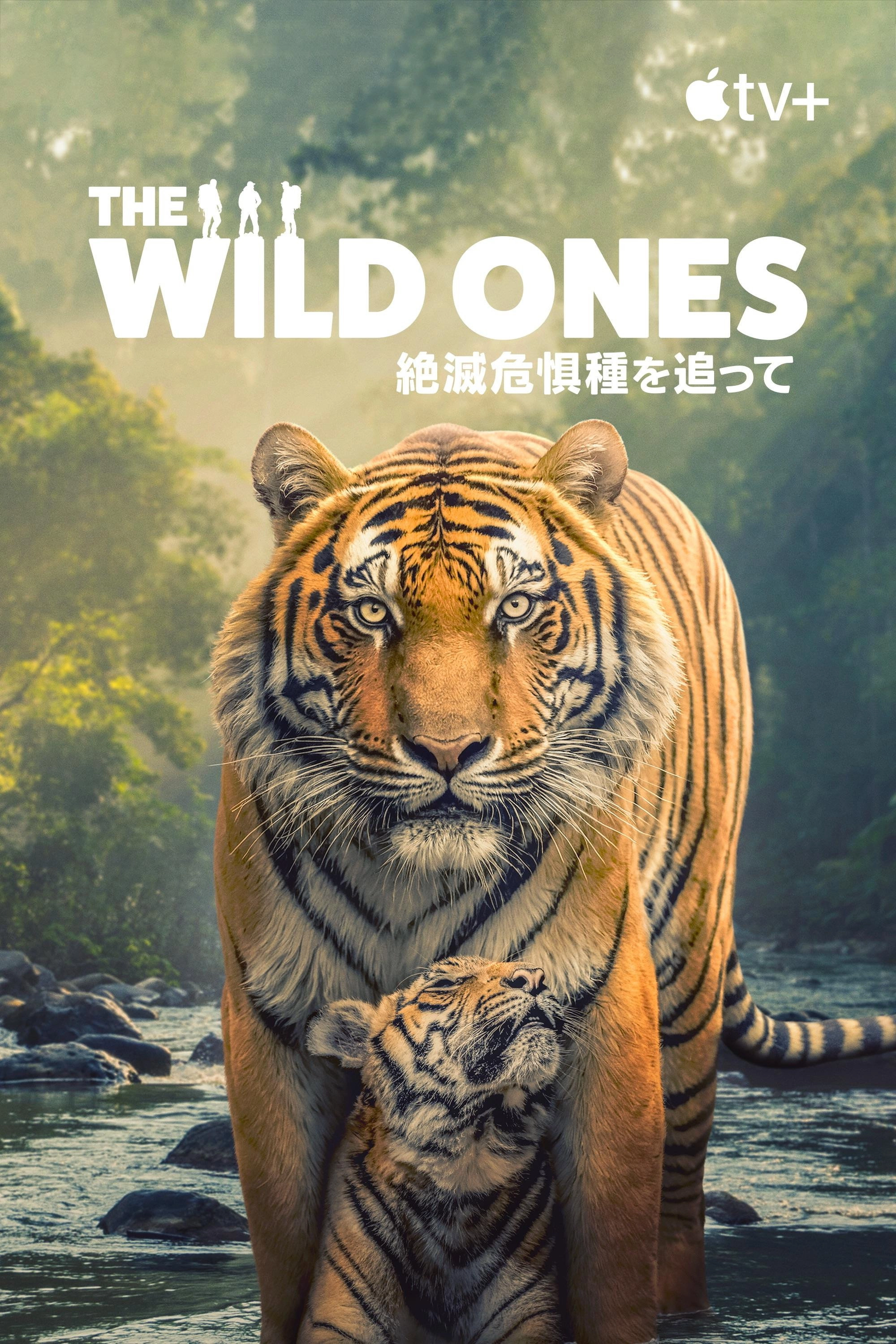 The Wild Ones