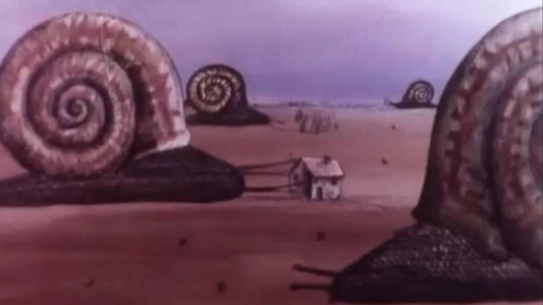 The Snails
