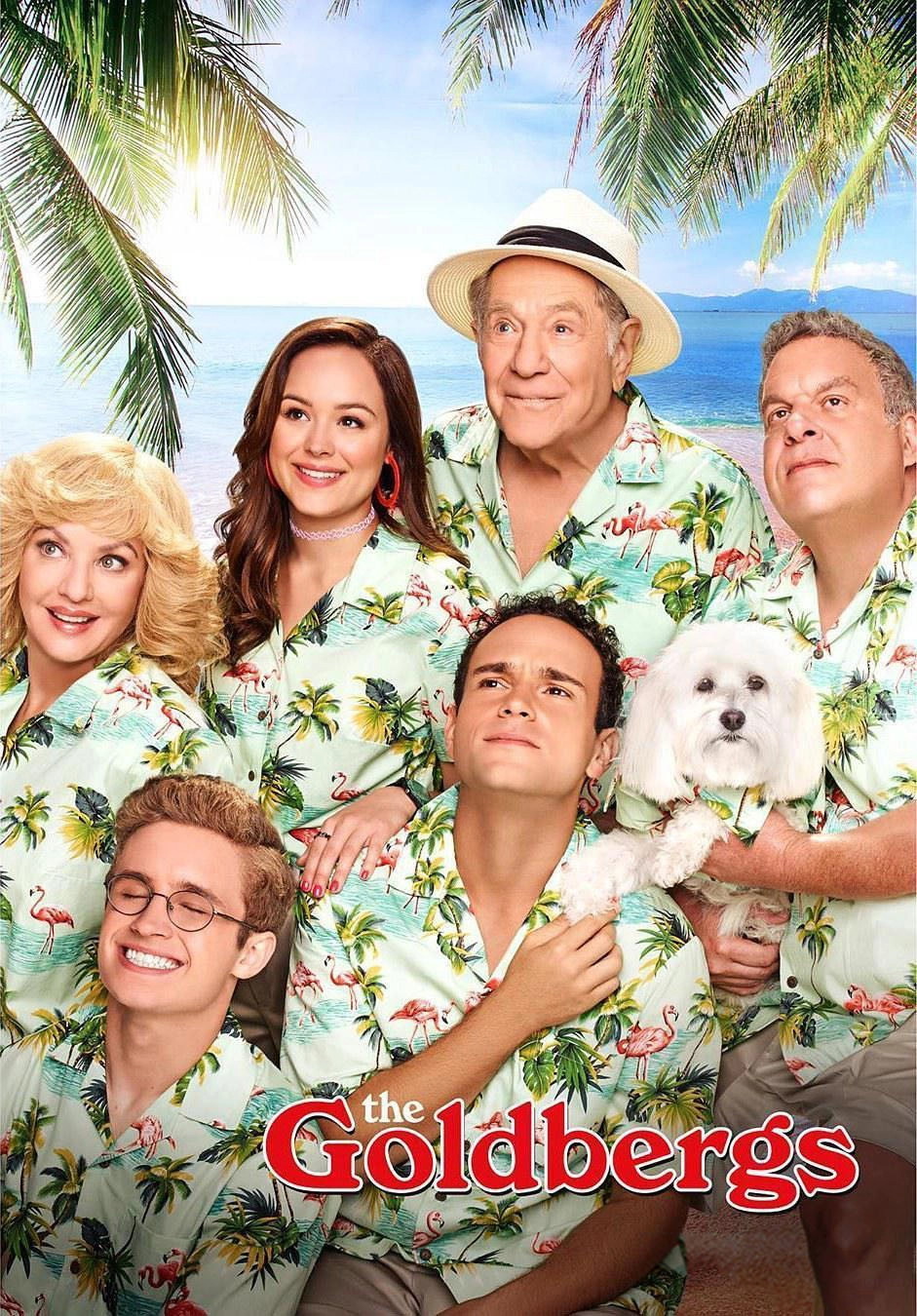 The Goldbergs