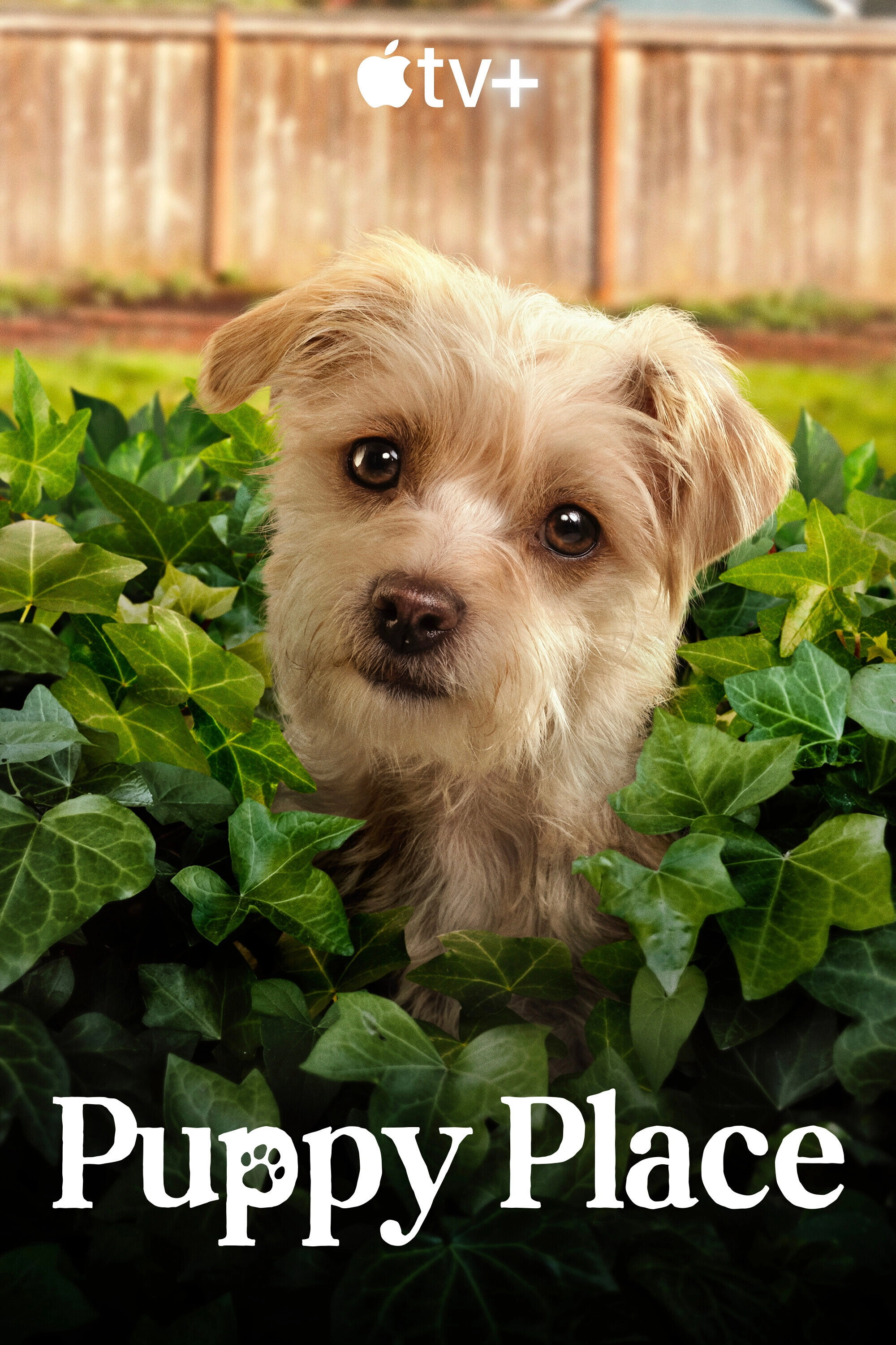Puppy Place