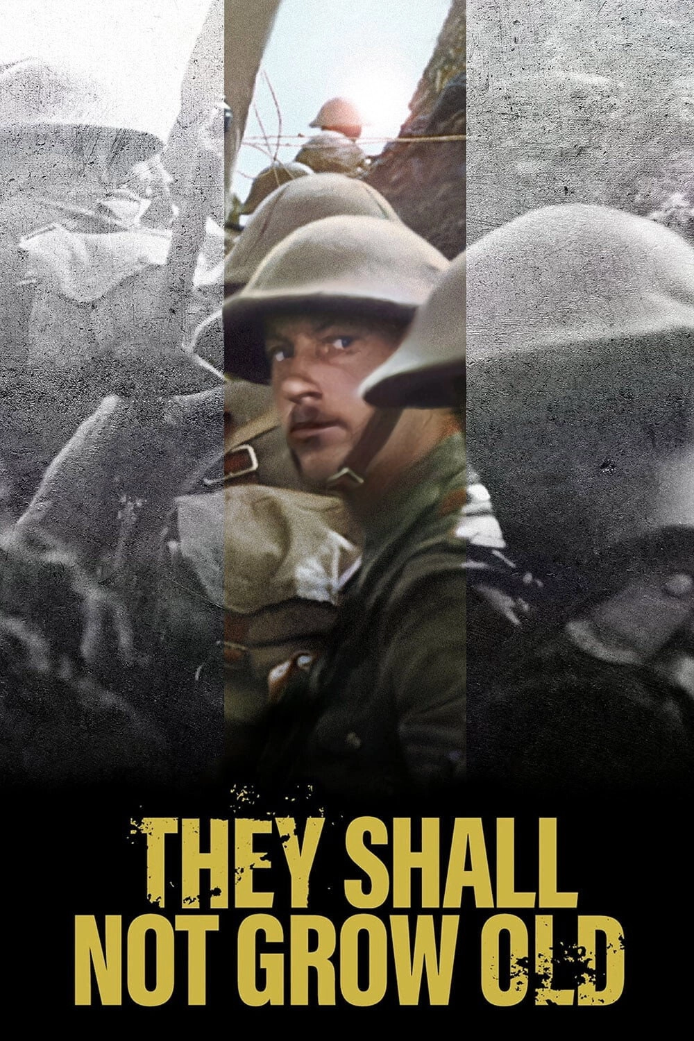 They Shall Not Grow Old