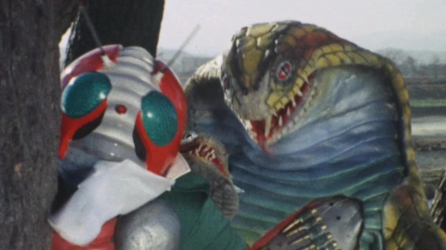 Kamen Rider V3