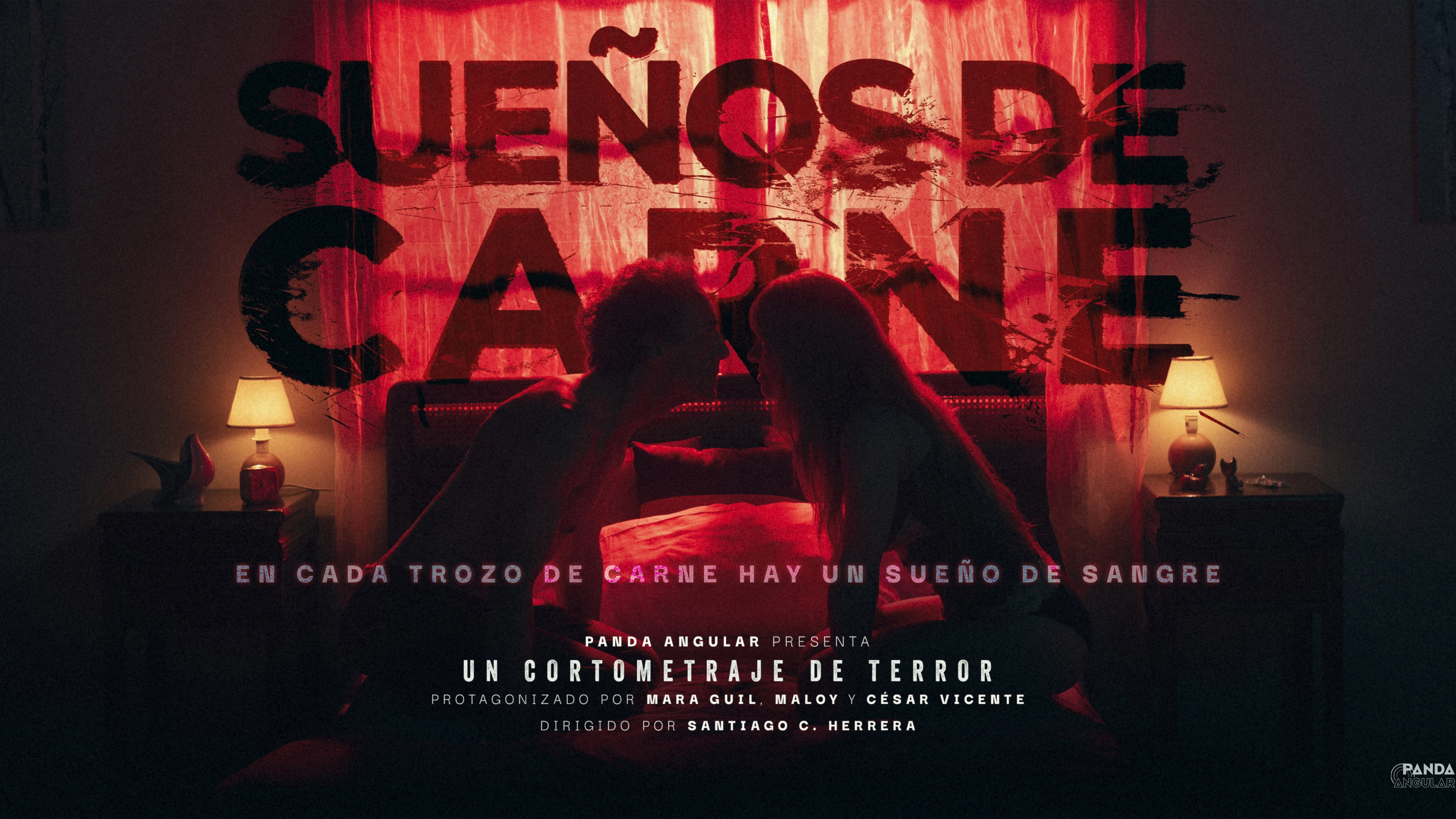 Sueños de Carne