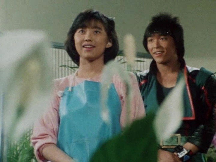 Choushinsei Flashman