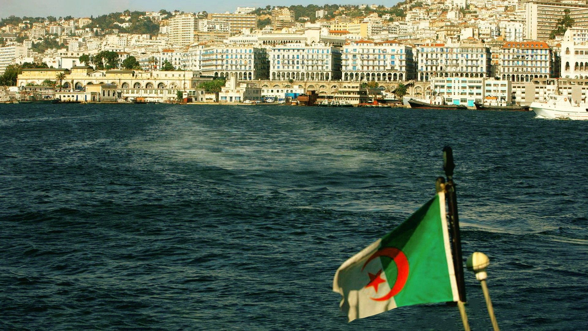 Regards D'en Face - Alger