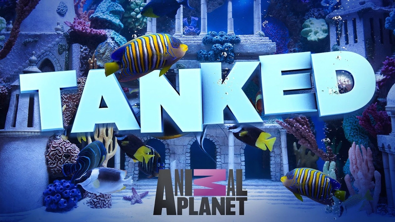 Tanked