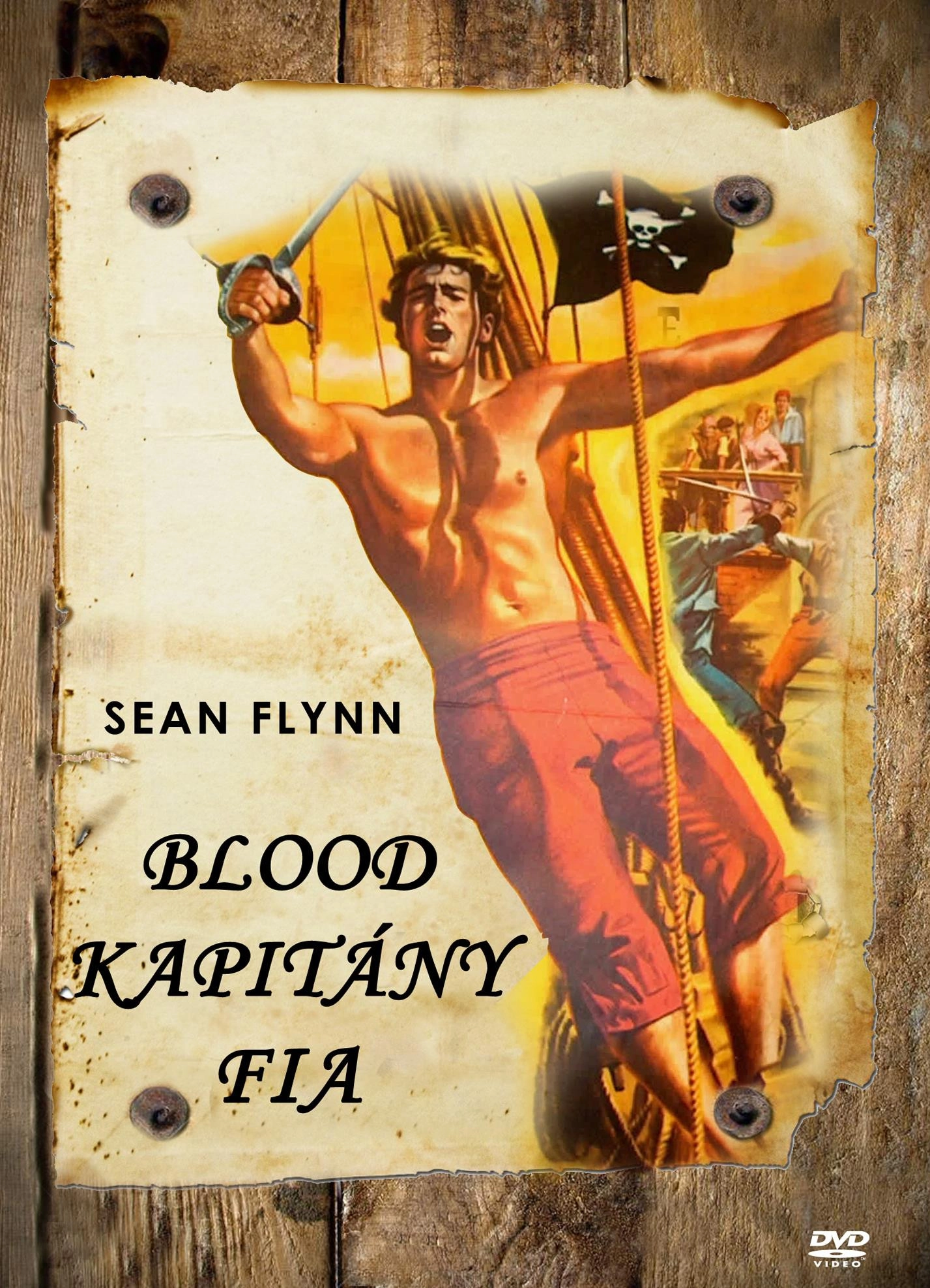 The Son of Captain Blood