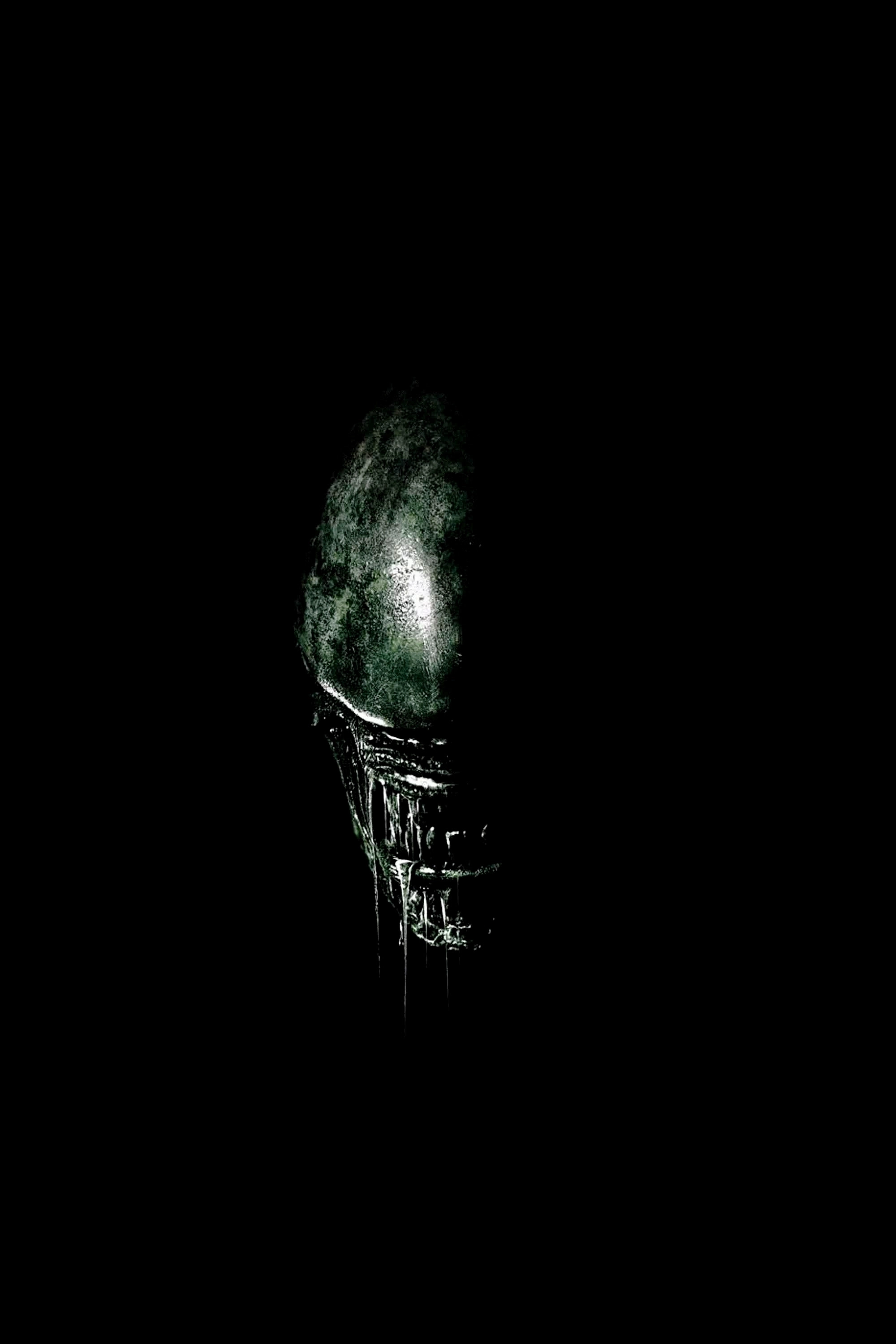 Alien: Terror in Space