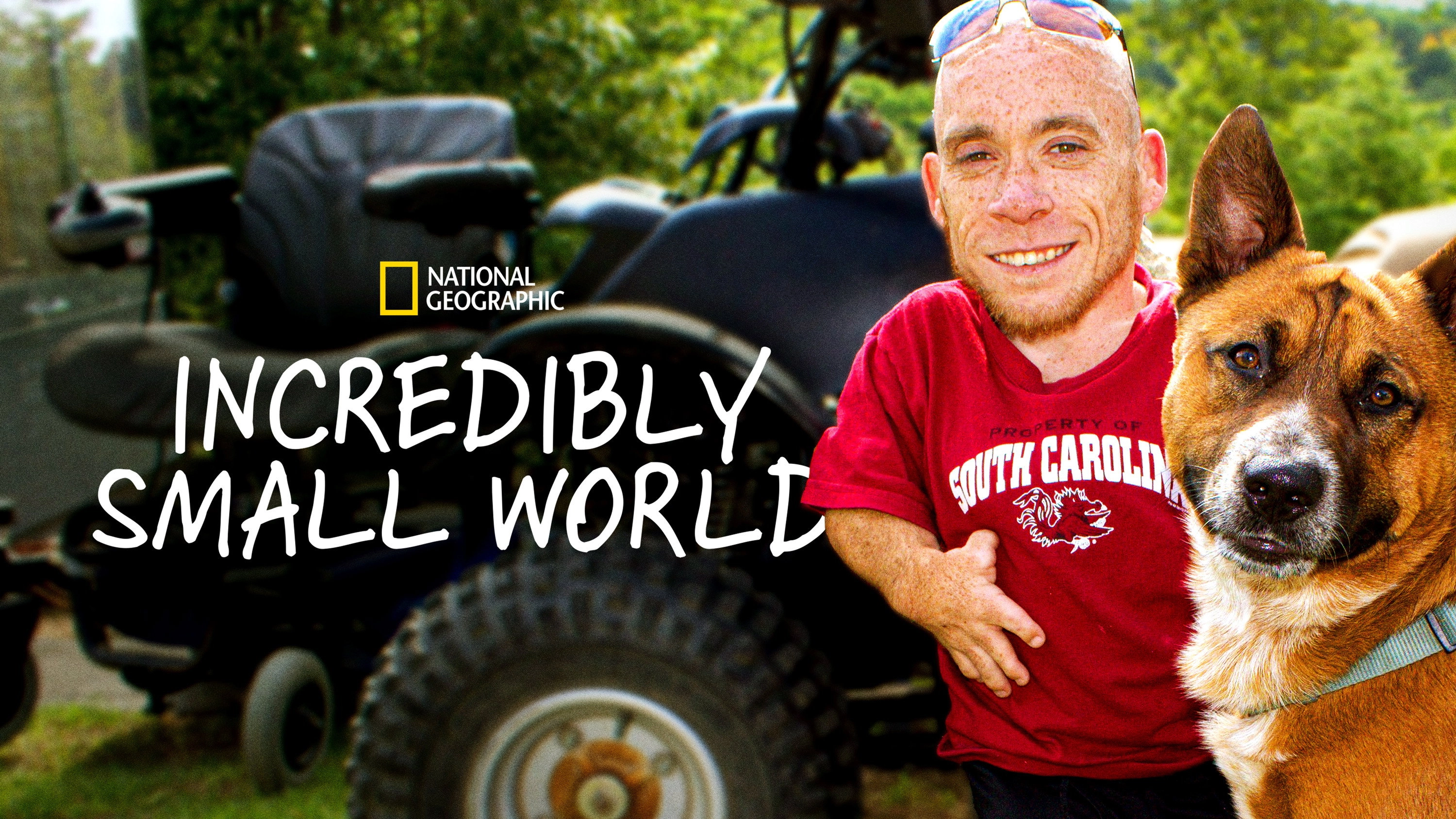 Incredibly Small World