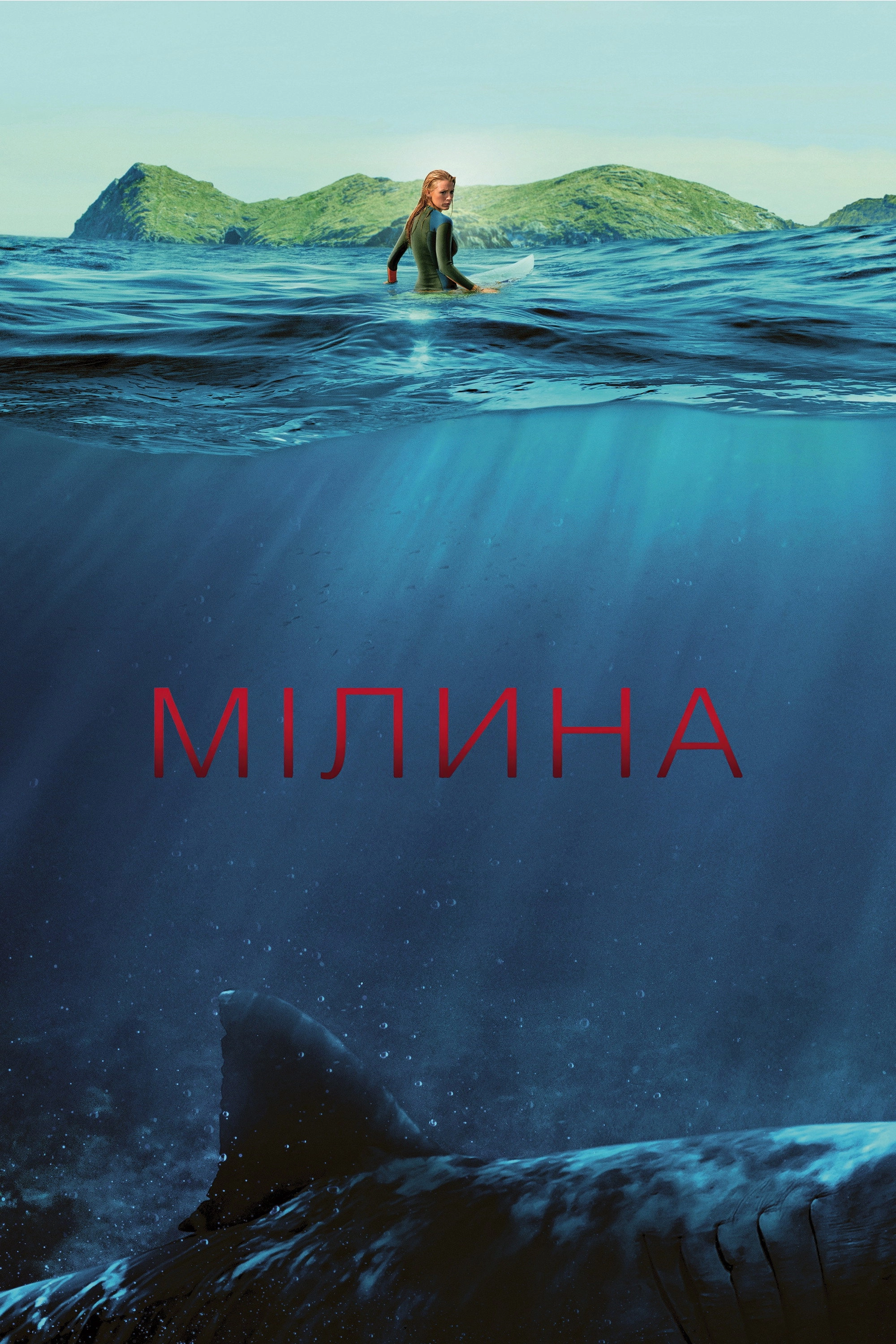 The Shallows