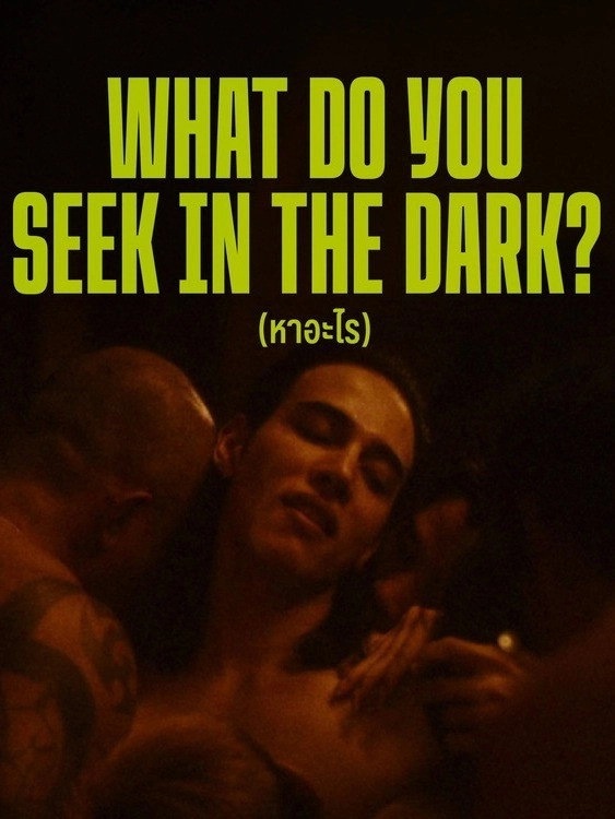 What Do You Seek in the Dark?