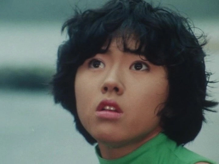 Choushinsei Flashman