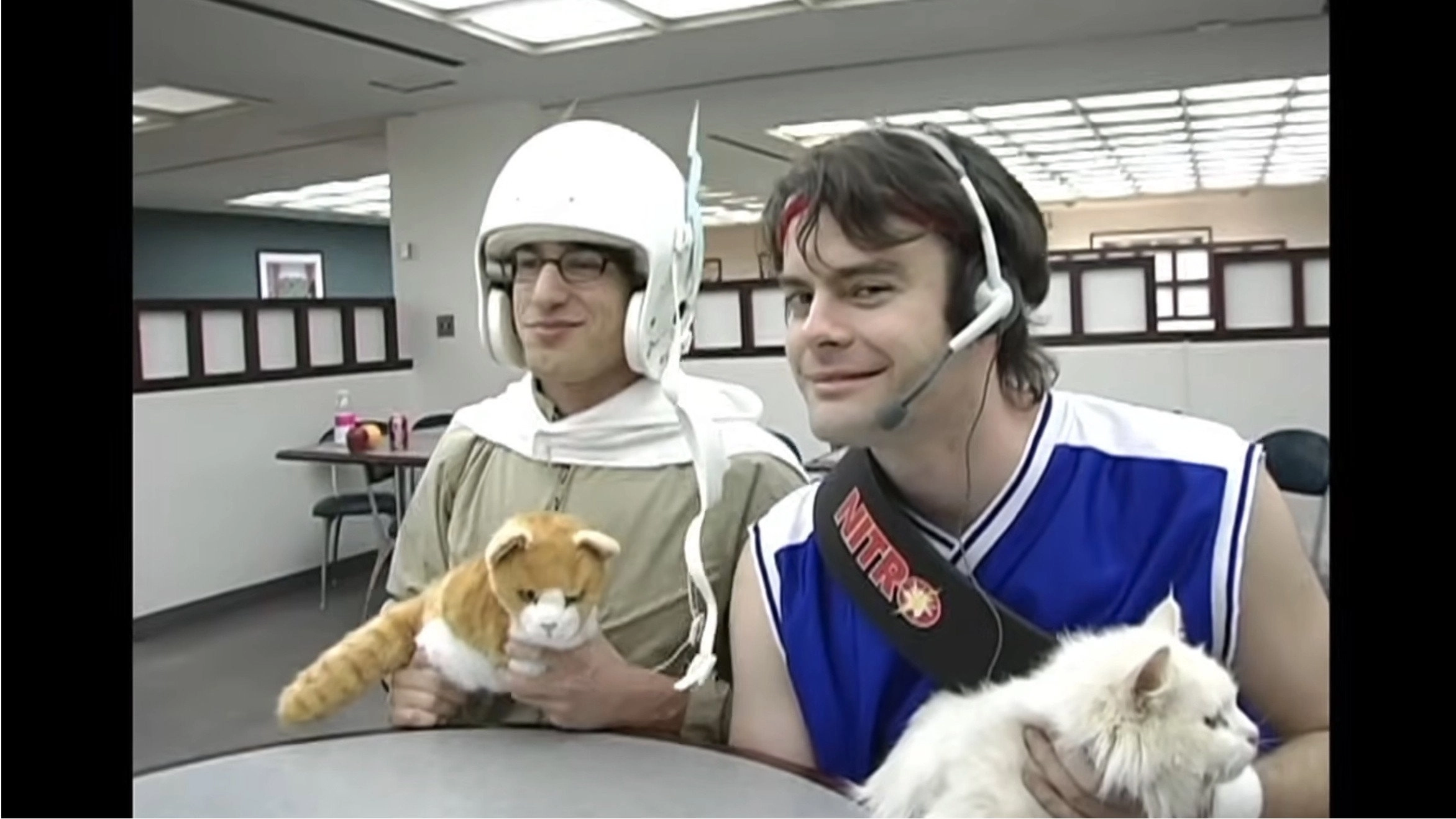 Laser Cats!