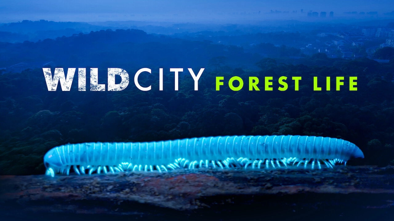 Wild City