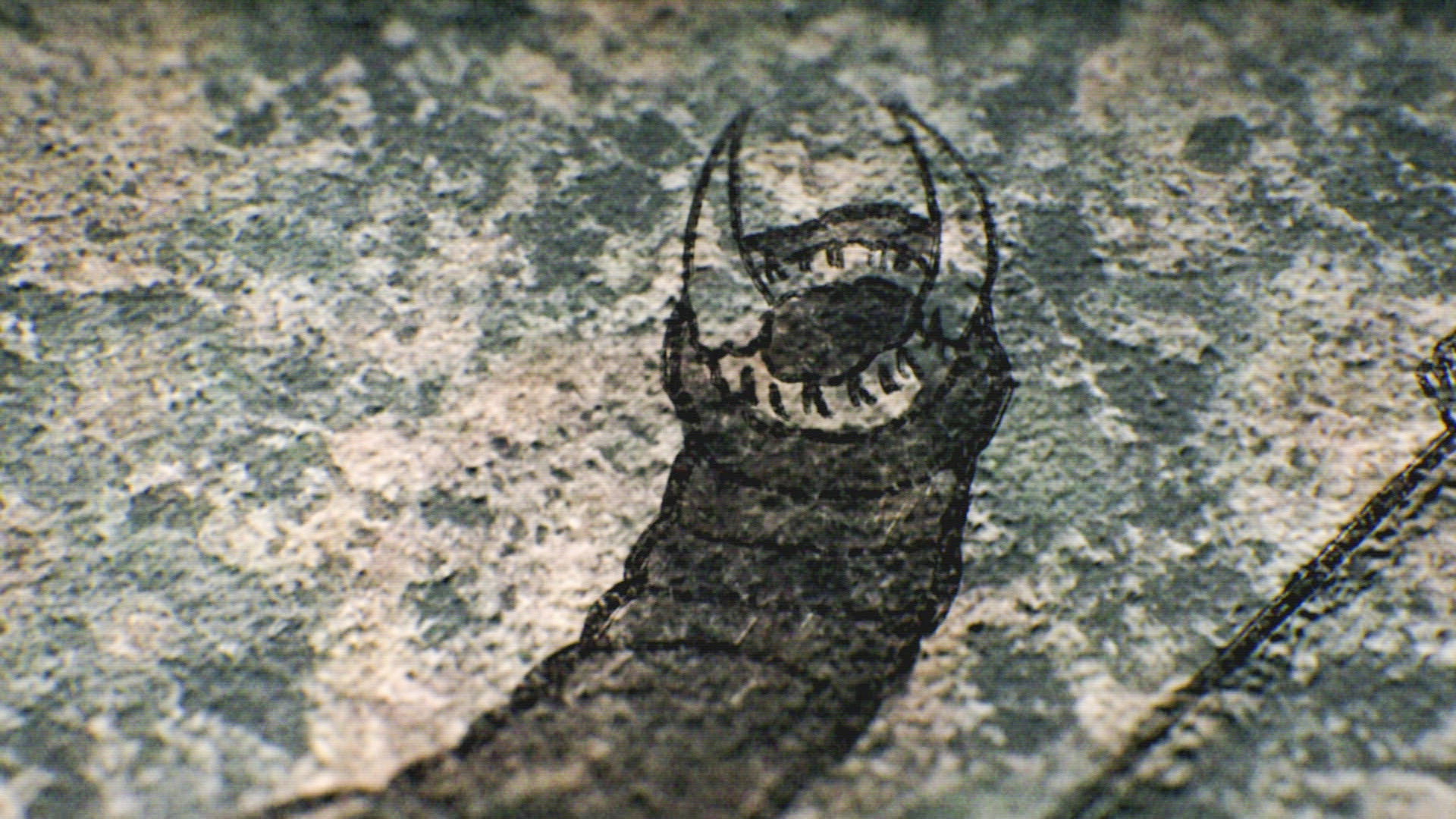 Strange Evidence