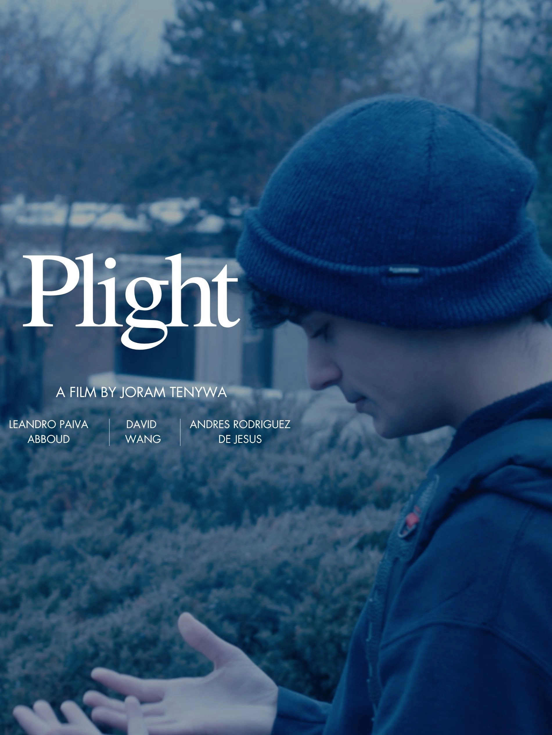 Plight