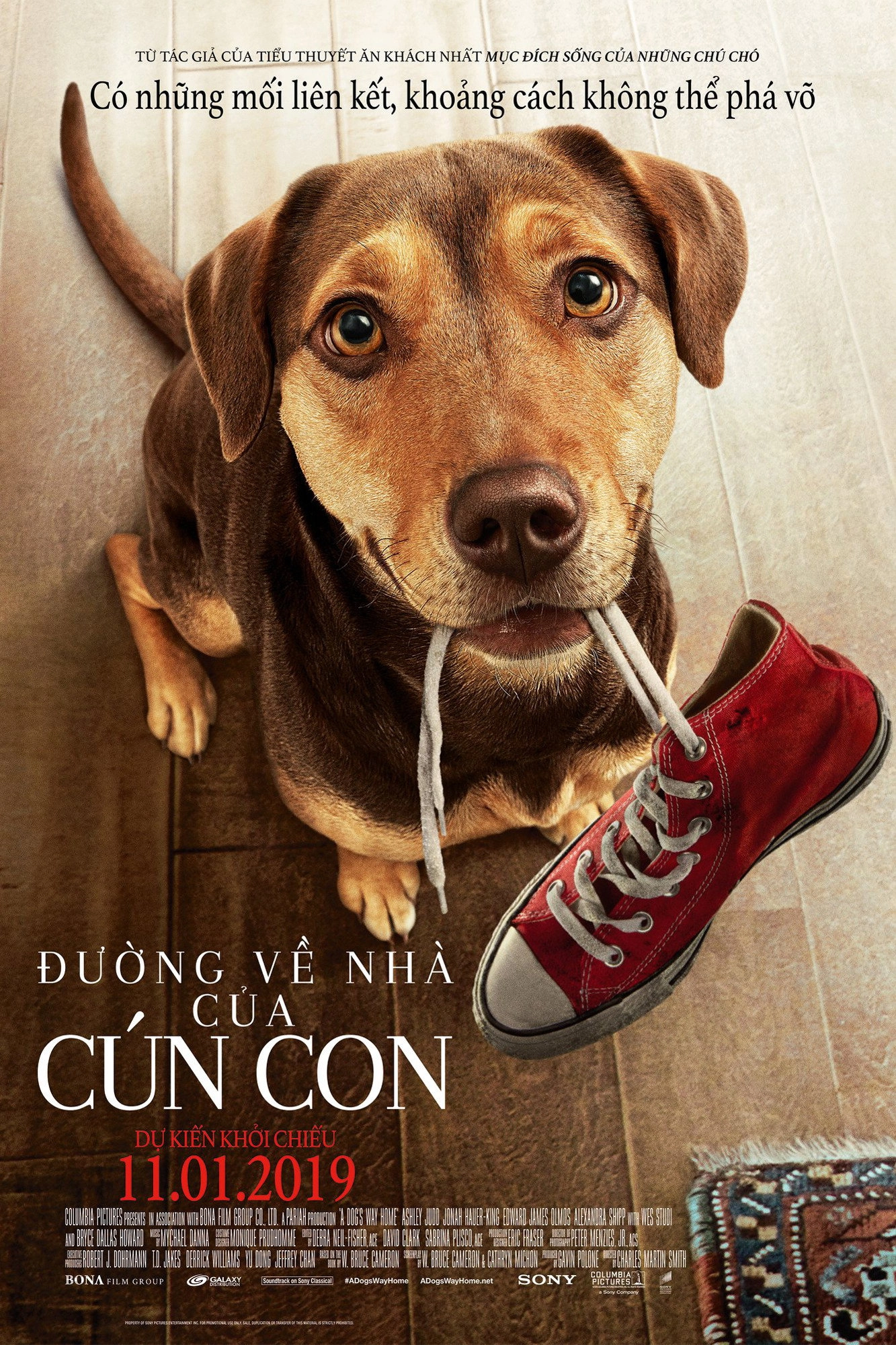 A Dog's Way Home
