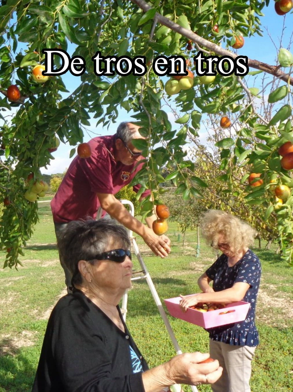 De tros en tros