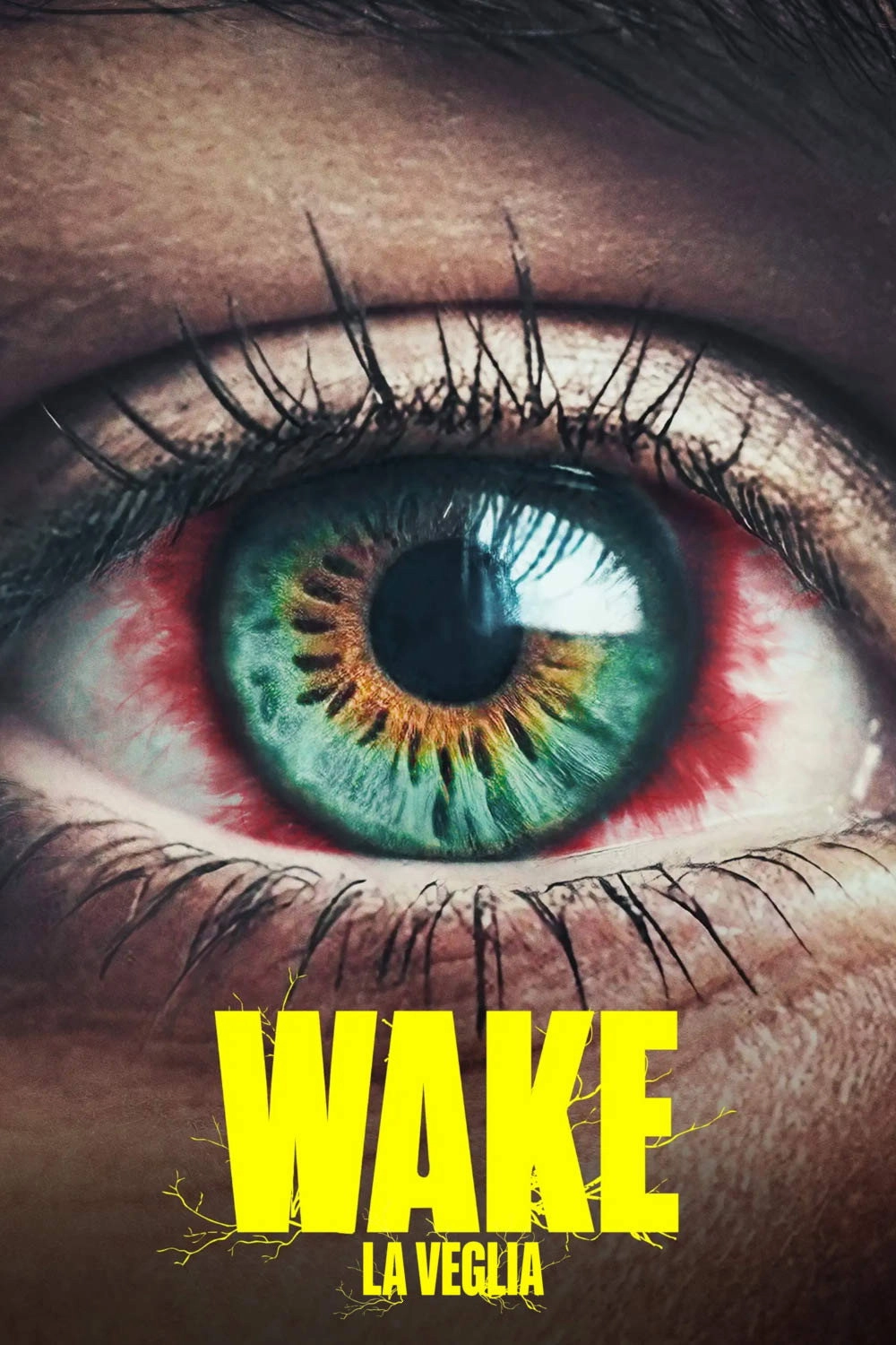 Vaka