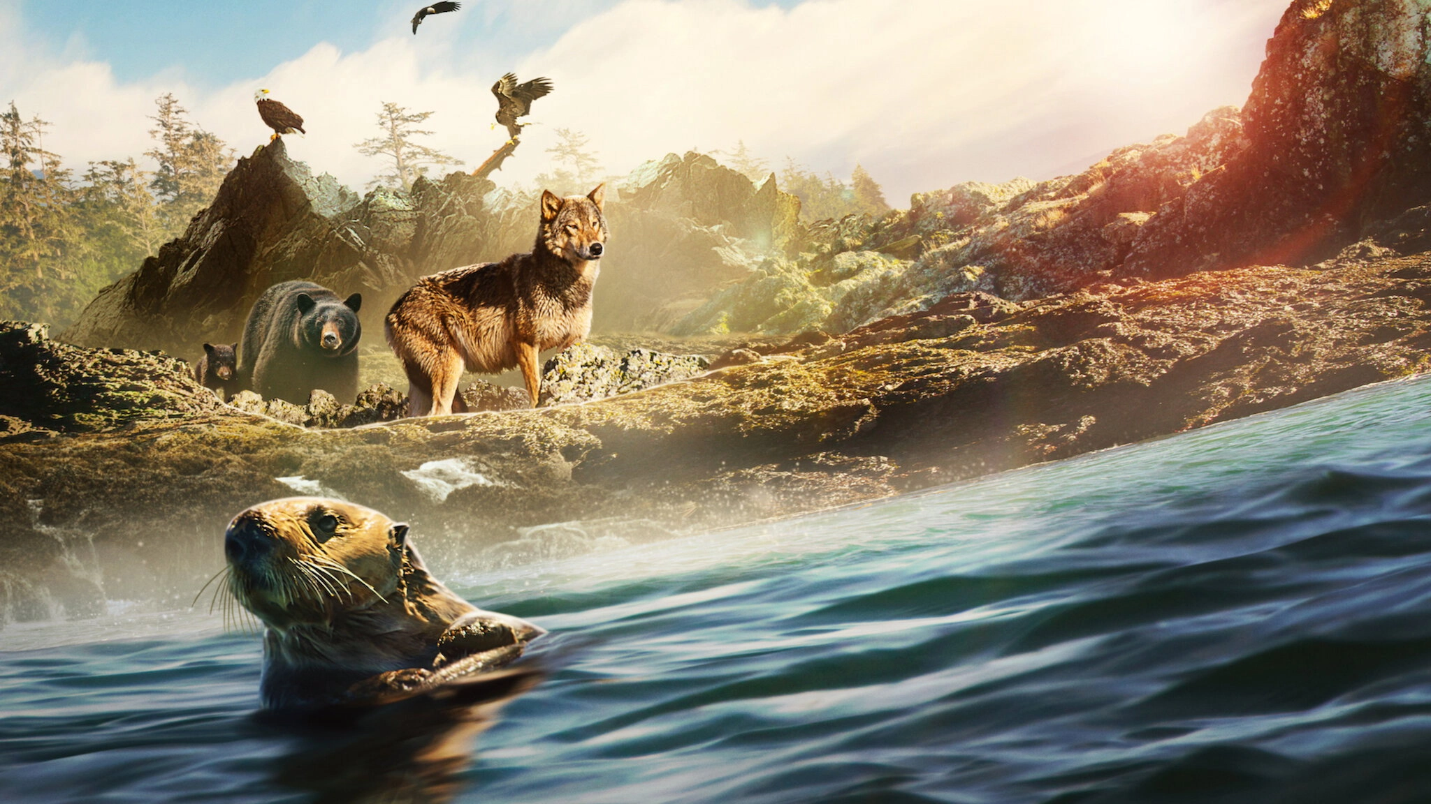 Island of the Sea Wolves