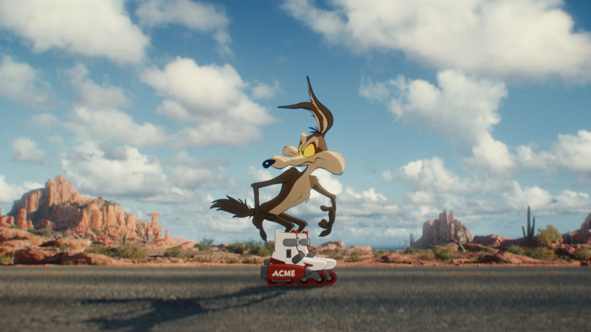 Coyote vs ACME