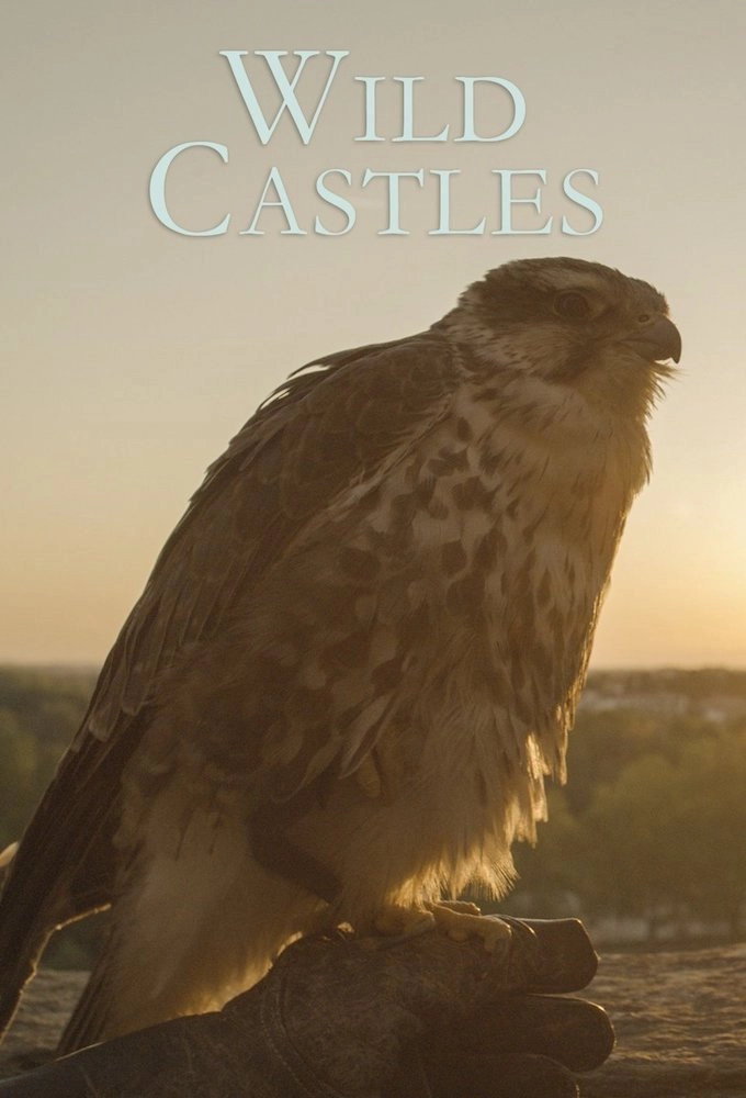 Wild Castles
