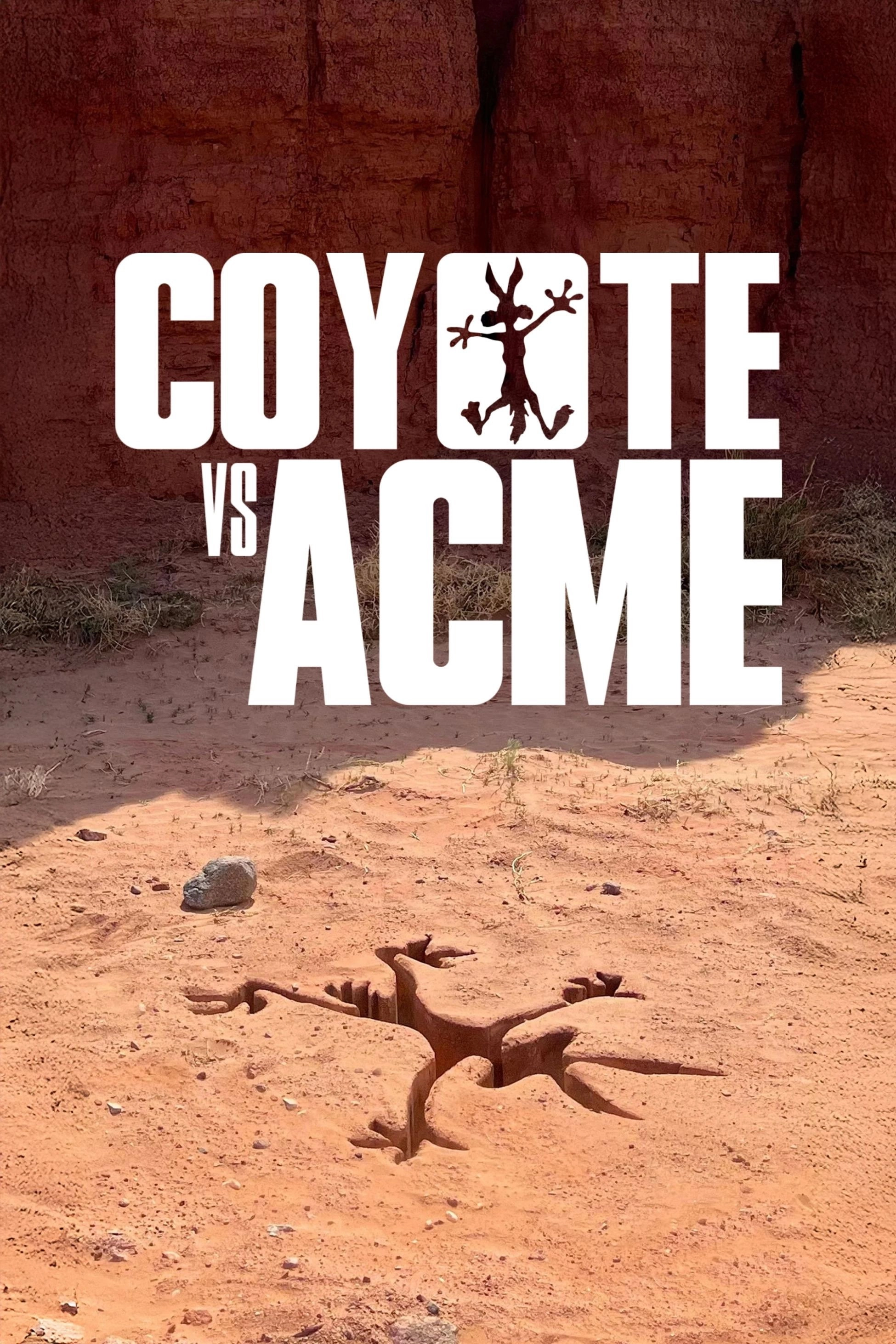Coyote vs ACME