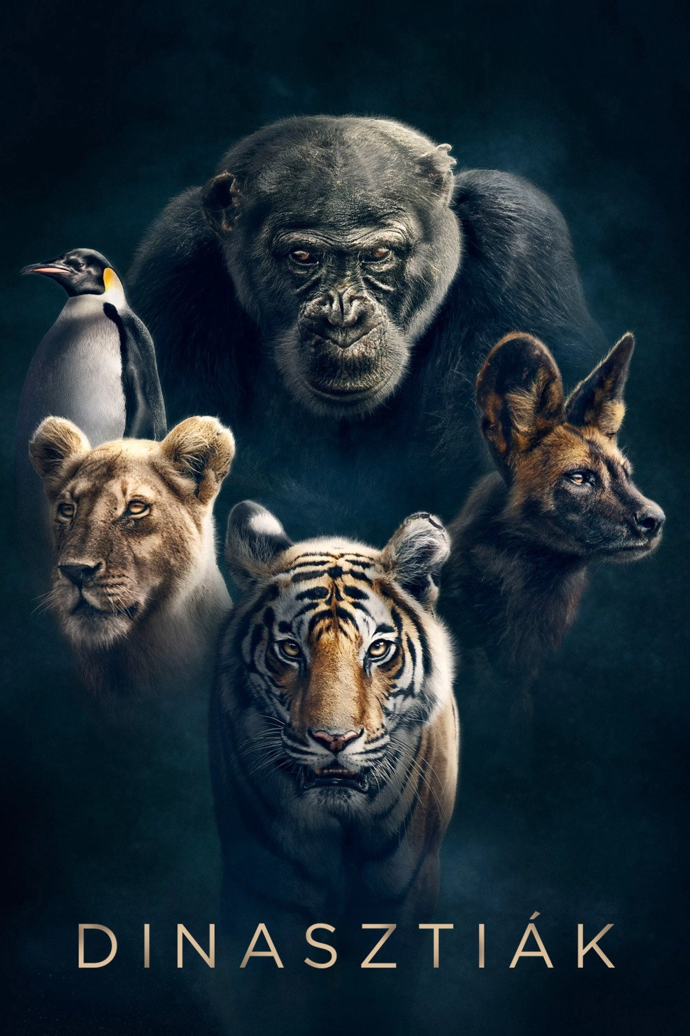 Dynasties