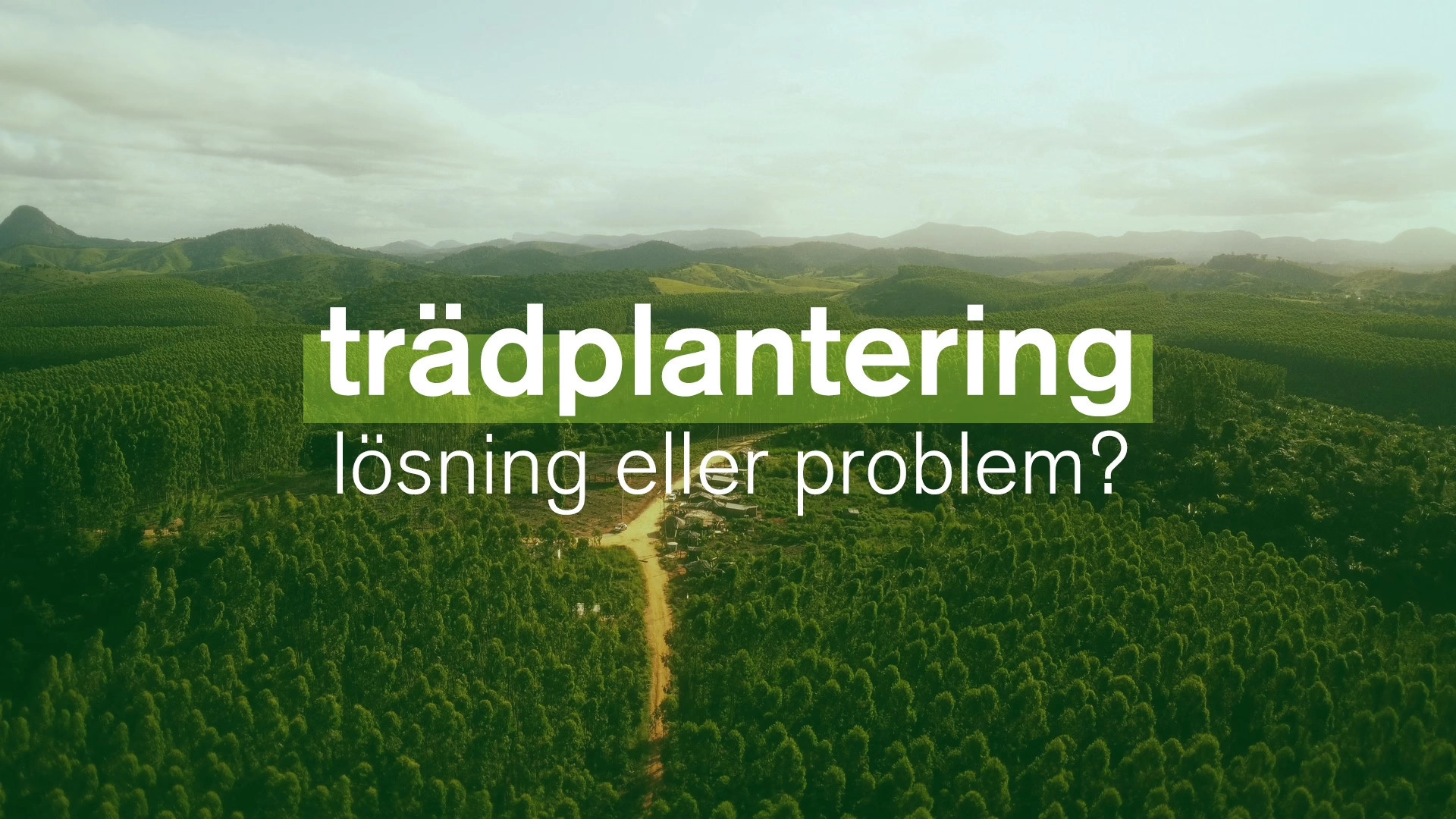 Planter à tout prix - Des arbres pour sauver la planète ?