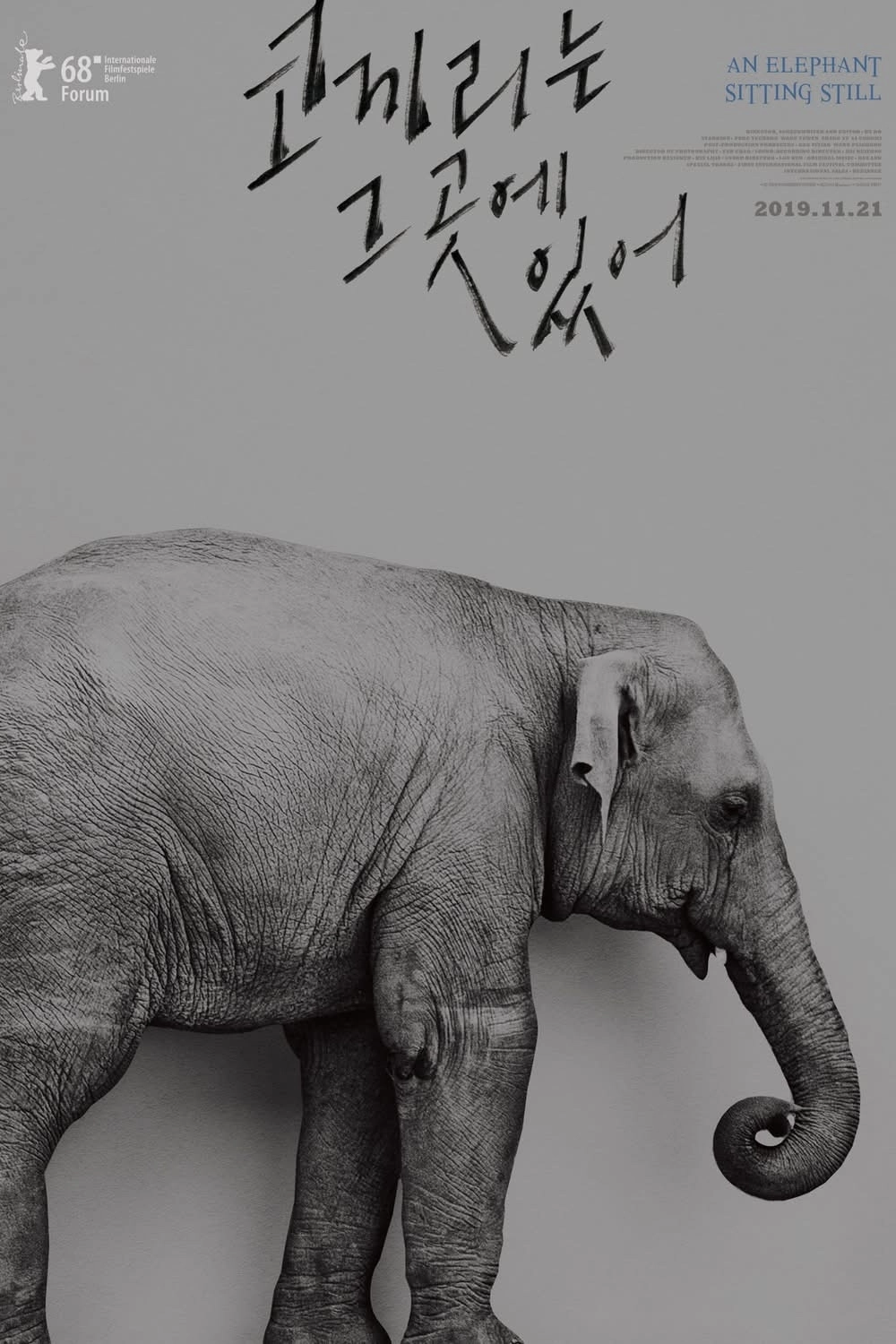 An Elephant Sitting Still