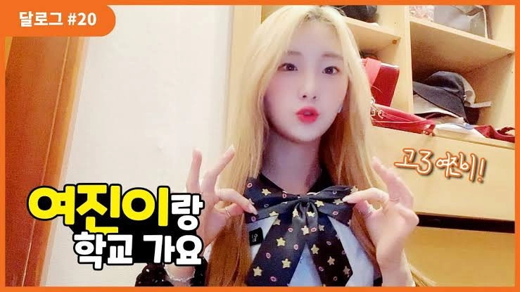LOONA Log