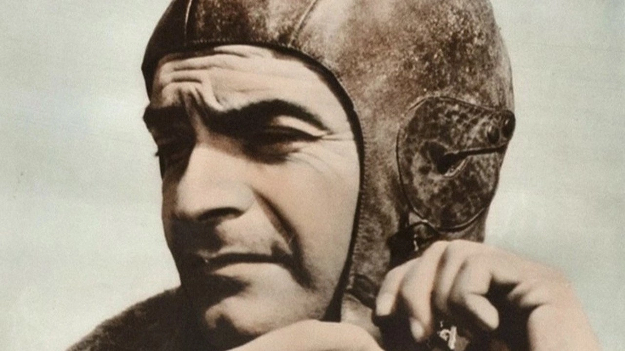 Rondini in volo