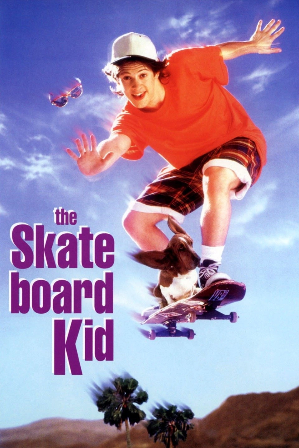 The Skateboard Kid