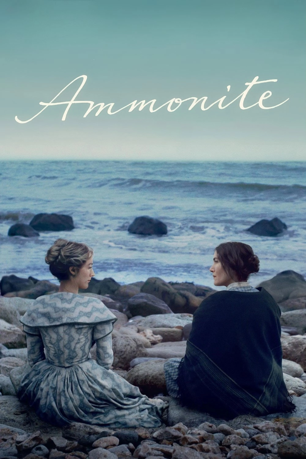 Ammonite