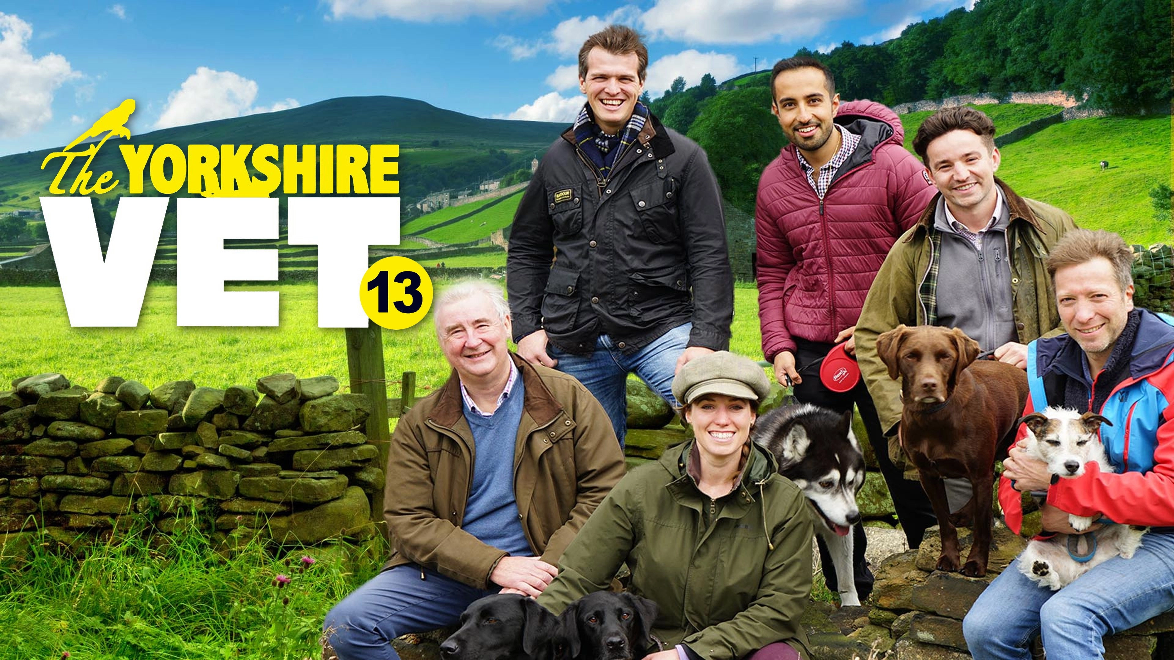 The Yorkshire Vet