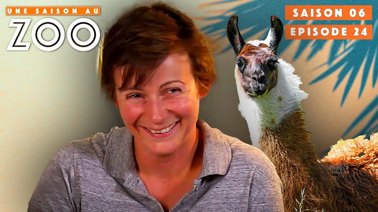 Une saison au zoo