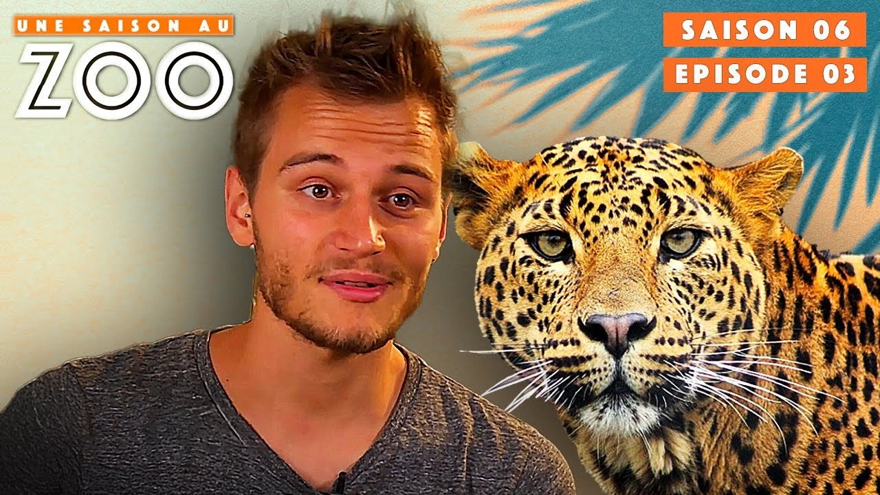 Une saison au zoo