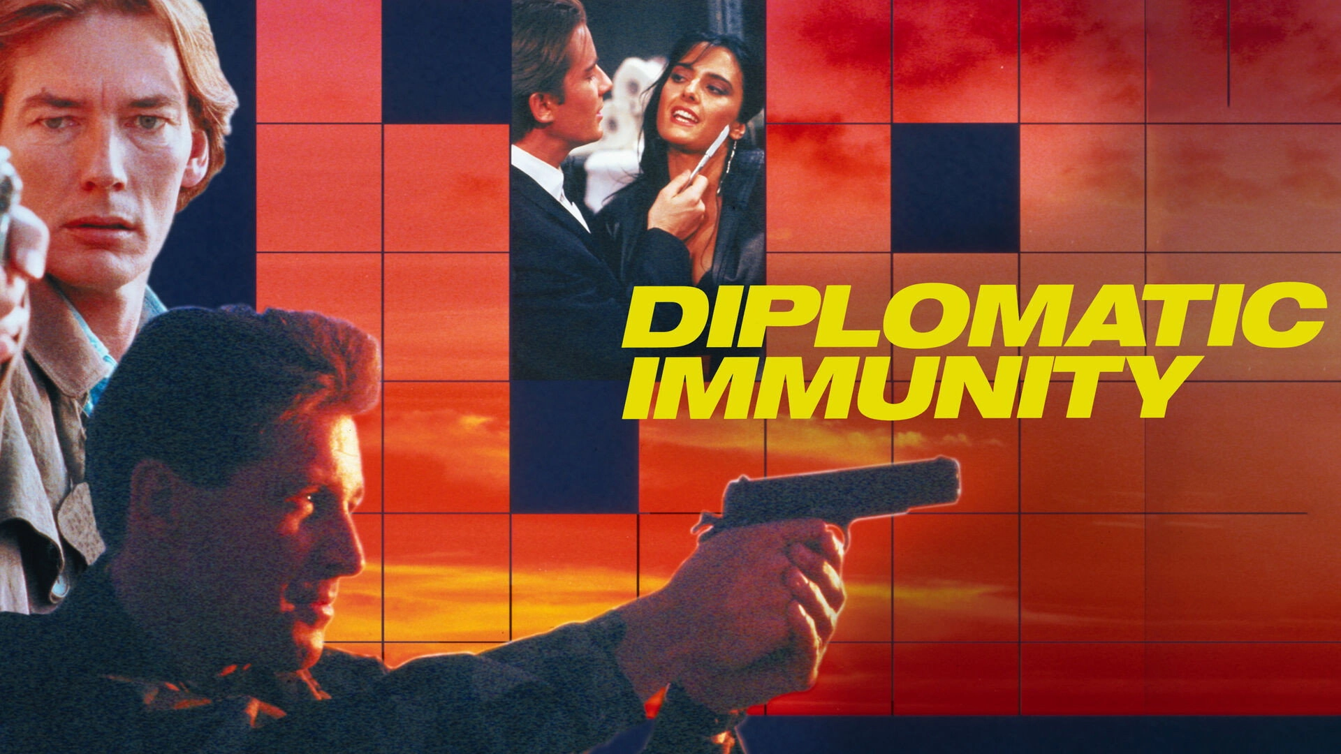 Diplomatic Immunity