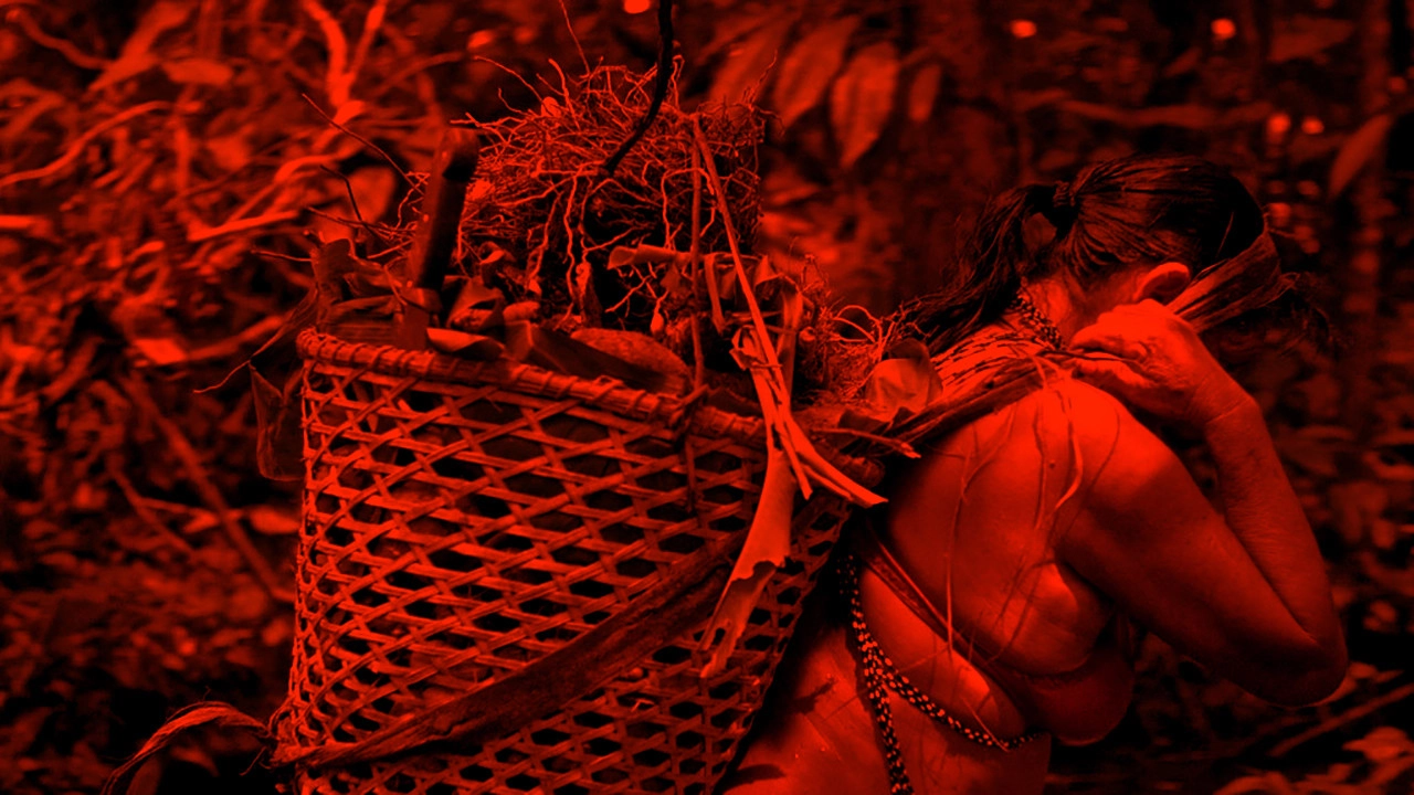 Amber's Descent