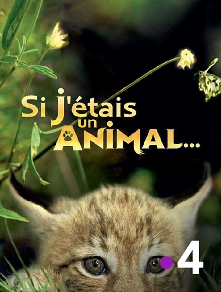 If I Were an Animal