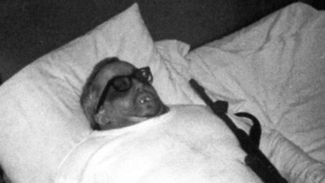 Les araignées de la nuit