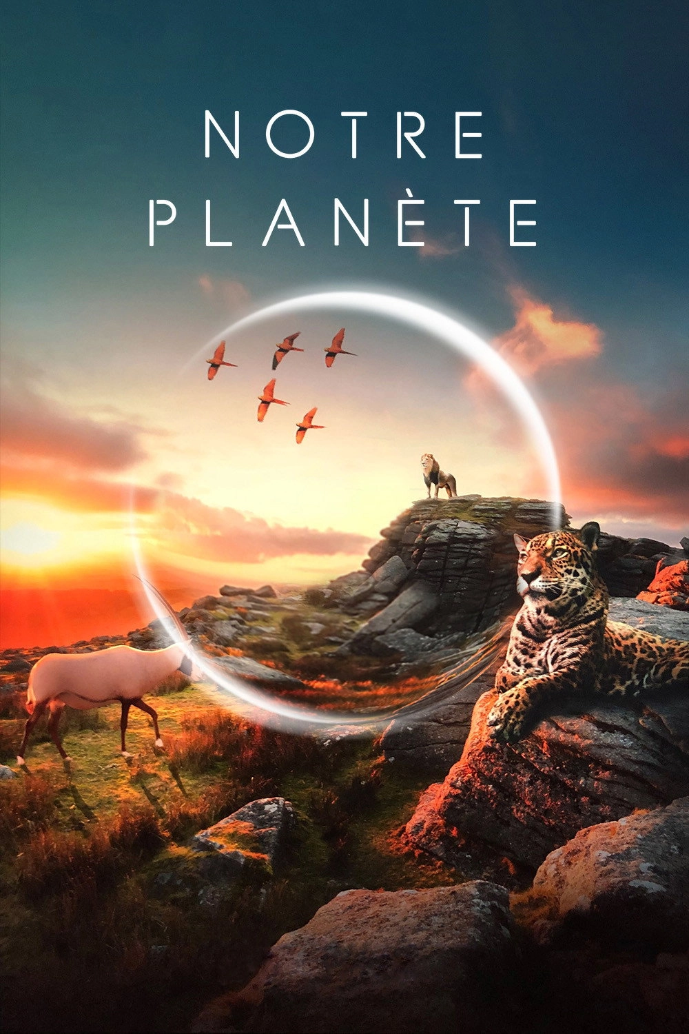 Our Planet